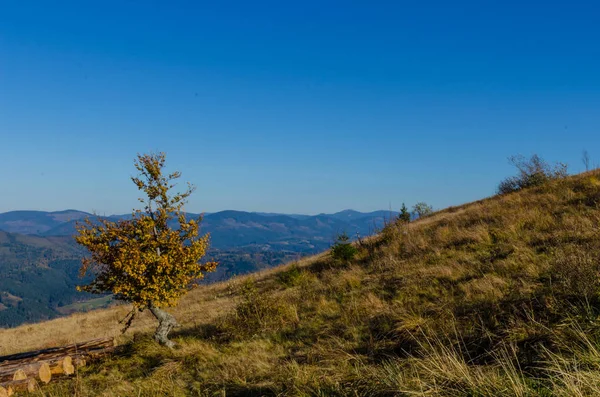 Montagnes Des Carpates Par Temps Ensoleillé Automne — Photo