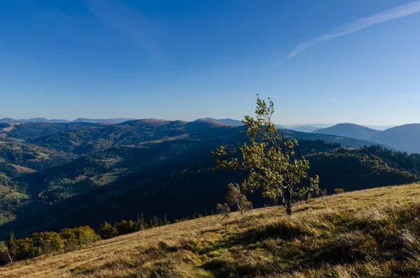 Montagnes Des Carpates Par Temps Ensoleillé Automne — Photo