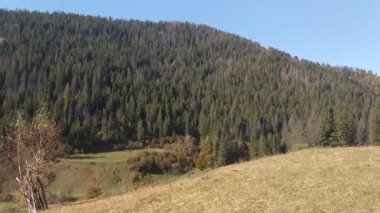 Sonbahar sezonu güneşli günde Karpat Dağları