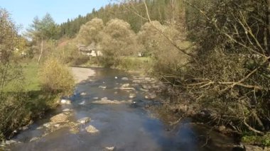 Sonbahar sezonu güneşli günde Karpat Dağları