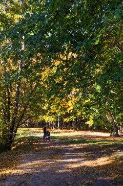 Şehir Parkı güneşli gün sonbahar sezonu