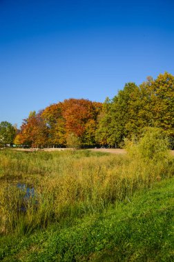 Şehir Parkı güneşli gün sonbahar sezonu