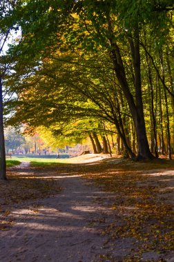 Şehir Parkı güneşli gün sonbahar sezonu