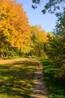 Şehir Parkı güneşli gün sonbahar sezonu