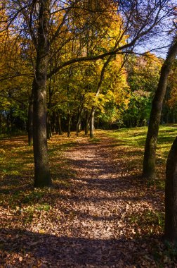 Şehir Parkı güneşli gün sonbahar sezonu