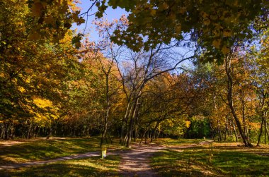 Şehir Parkı güneşli gün sonbahar sezonu