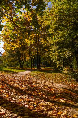 Şehir Parkı güneşli gün sonbahar sezonu