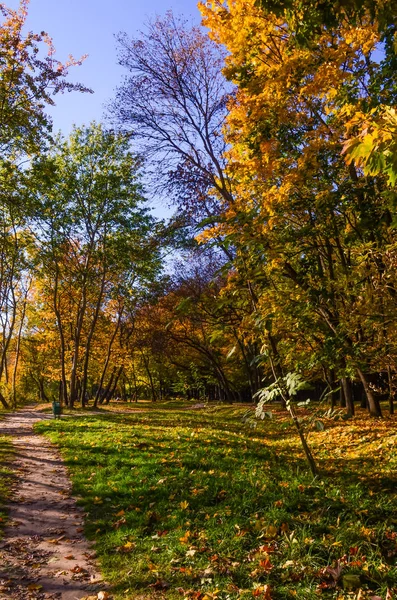 Městský Park Slunečný Den Podzimní Sezóně — Stock fotografie