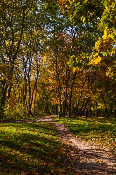 Stadtpark Bei Sonnigem Herbstwetter — Stockfoto