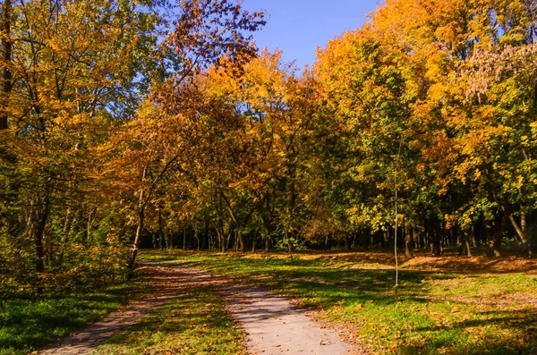 Stadspark Zonnige Dag Herfst Seizoen — Stockfoto