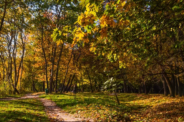 Parque Ciudad Día Soleado Temporada Otoño — Foto de Stock