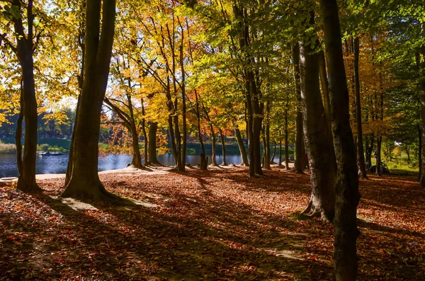 Stadtpark Bei Sonnigem Herbstwetter — Stockfoto