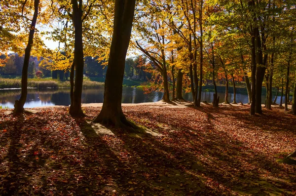 Stadtpark Bei Sonnigem Herbstwetter — Stockfoto