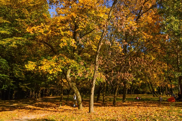 Parque Cidade Dia Ensolarado Temporada Outono — Fotografia de Stock