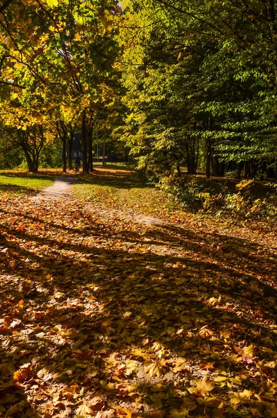 Městský Park Slunečný Den Podzimní Sezóně — Stock fotografie