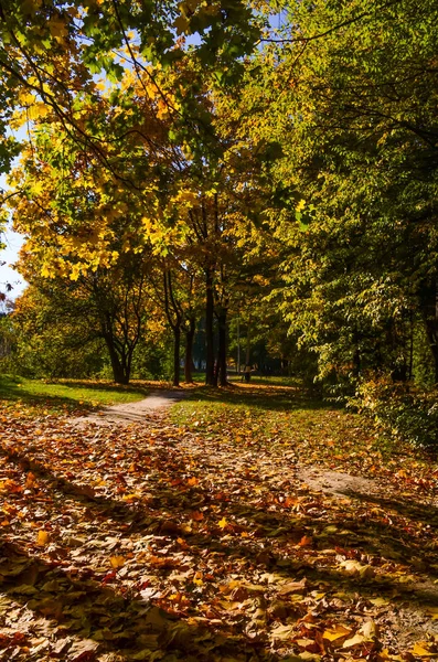 Stadtpark Bei Sonnigem Herbstwetter — Stockfoto