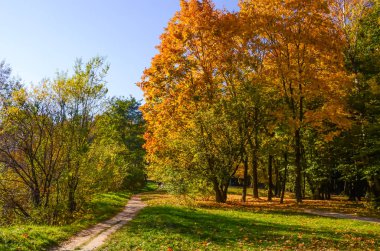 Şehir Parkı güneşli gün sonbahar sezonu