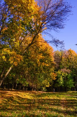 Şehir Parkı güneşli gün sonbahar sezonu