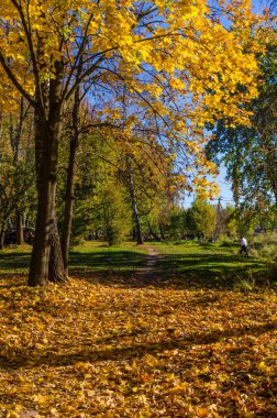 Şehir Parkı güneşli gün sonbahar sezonu