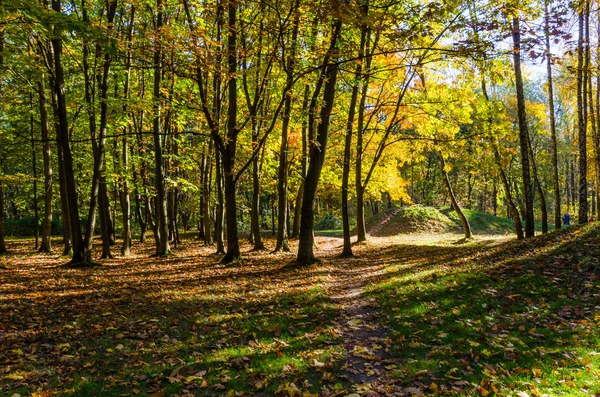 Městský Park Slunečný Den Podzimní Sezóně — Stock fotografie