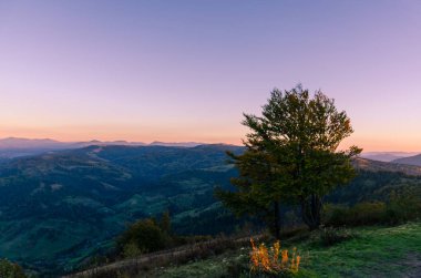 Sonbahar sezonu Karpat Dağları'nda günbatımı