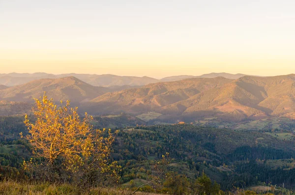 Pôr Sol Nas Montanhas Dos Cárpatos Temporada Outono — Fotografia de Stock