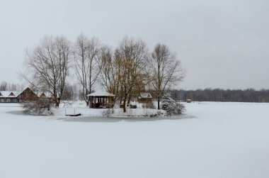 Kış manzara orman, göl kötü hava koşulu ile