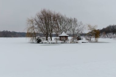 Kış manzara orman, göl kötü hava koşulu ile