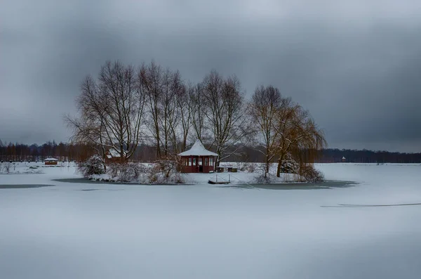 Die Winterlandschaft Mit Wald See Schlechtwetterzustand — Stockfoto