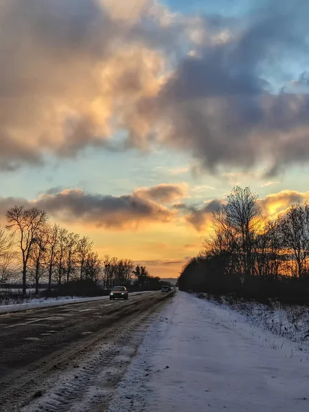 Winter Landscape Field Trees Sunset — Stock Photo, Image