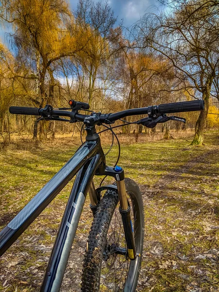 春の道で Mtb 自転車 — ストック写真
