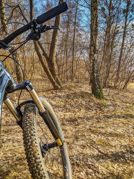 Bicicleta Mtb Trilha Temporada Primavera — Fotografia de Stock