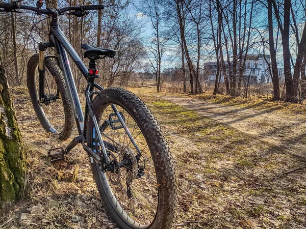 MTB bicycle on the trail in the spring season