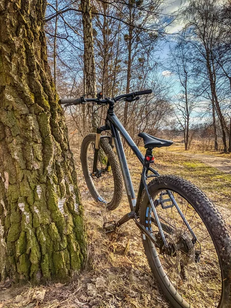 春の道で Mtb 自転車 — ストック写真