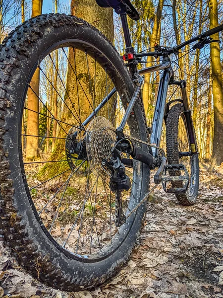 Vtt Vélo Sur Sentier Printemps — Photo