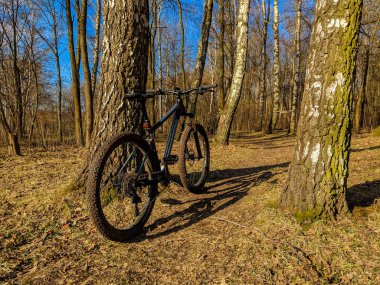 MTB Bisiklet bahar sezonu izinde