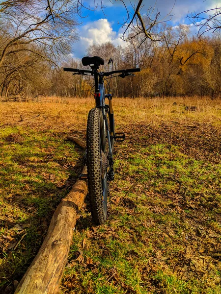 Bicicleta Mtb Trilha Temporada Primavera — Fotografia de Stock