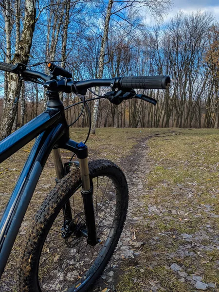 Vtt Vélo Sur Sentier Printemps — Photo