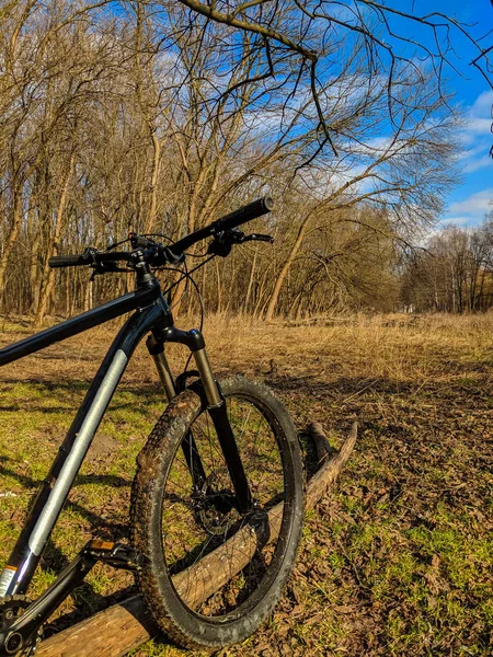 Bicicleta Mtb Trilha Temporada Primavera — Fotografia de Stock