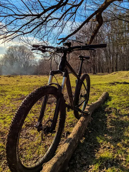 Rower Mtb Szlaku Sezonie Wiosna — Zdjęcie stockowe