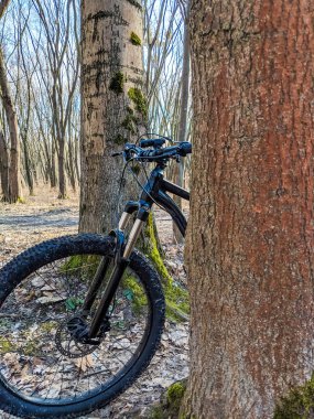 MTB Bisiklet bahar sezonu izinde