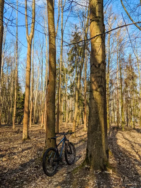 Mtb Fiets Het Parcours Lente Seizoen — Stockfoto