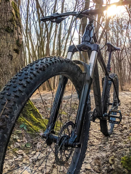 Mtb Kolo Stezce Jarní Sezóně — Stock fotografie