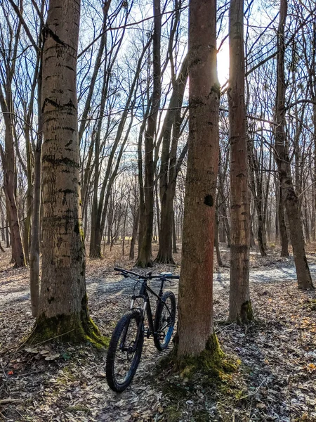 MTB bicycle on the trail in the spring season