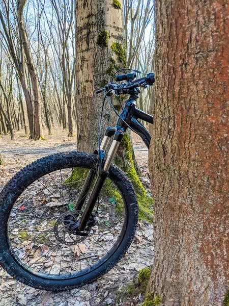 MTB bicycle on the trail in the spring season