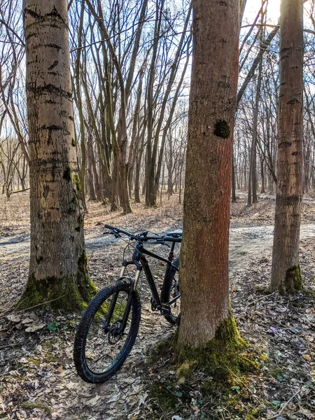Mtb Fahrrad Der Frühjahrssaison Unterwegs — Stockfoto