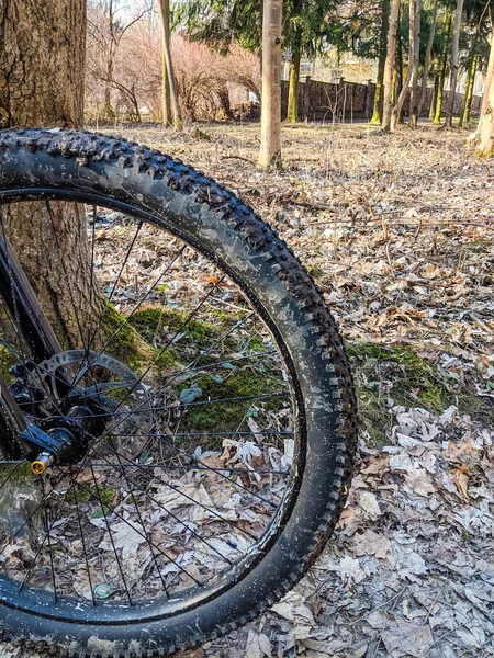 MTB bicycle on the trail in the spring season