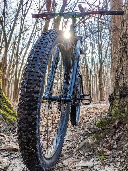 春の道で Mtb 自転車 — ストック写真