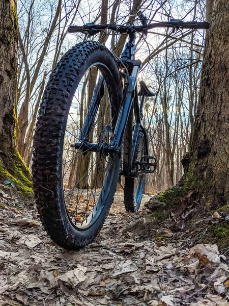 春の道で Mtb 自転車 — ストック写真