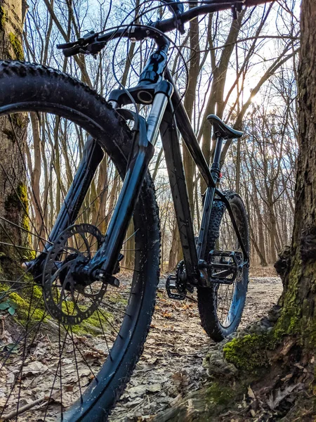 春の道で Mtb 自転車 — ストック写真